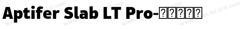 Aptifer Slab LT Pro字体转换